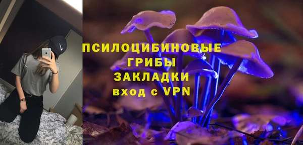 МДПВ Горняк