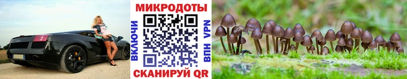 Галлюциногенные грибы мицелий  Купить  Рыбинск
